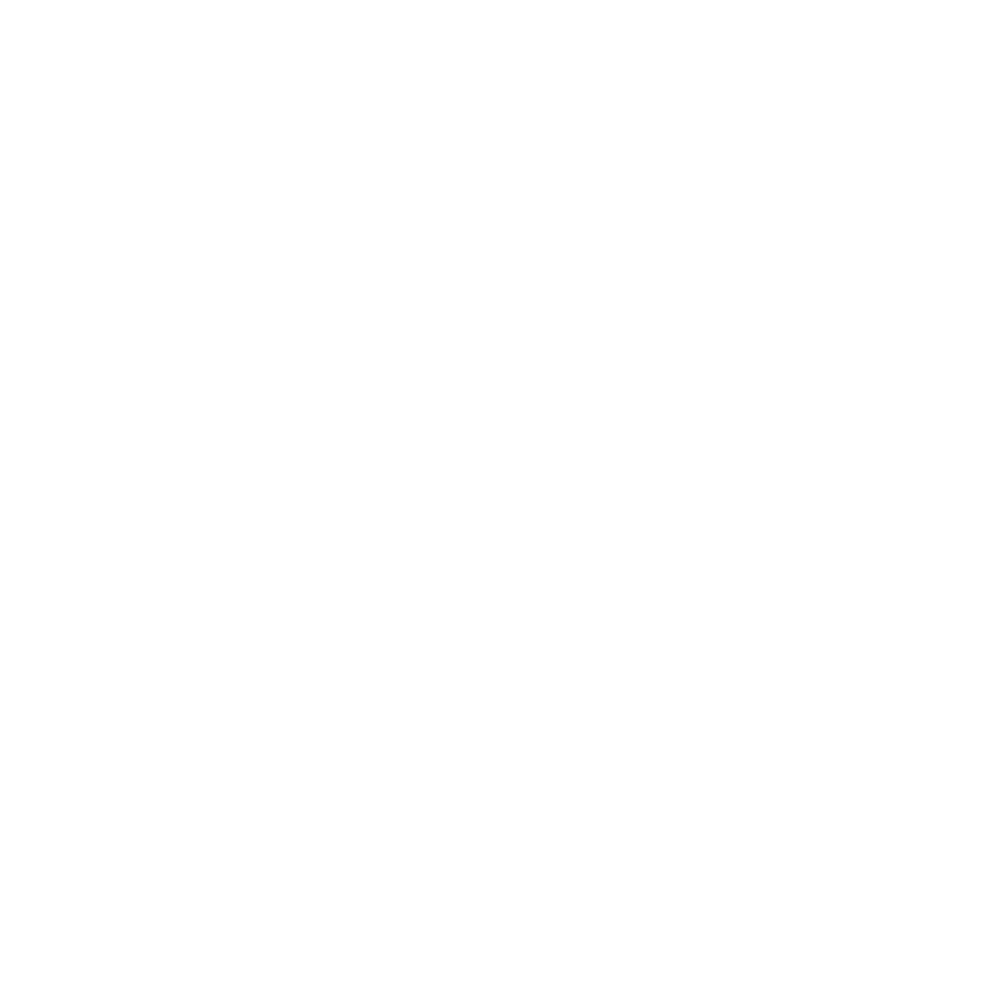 дзен Максима Зубрея