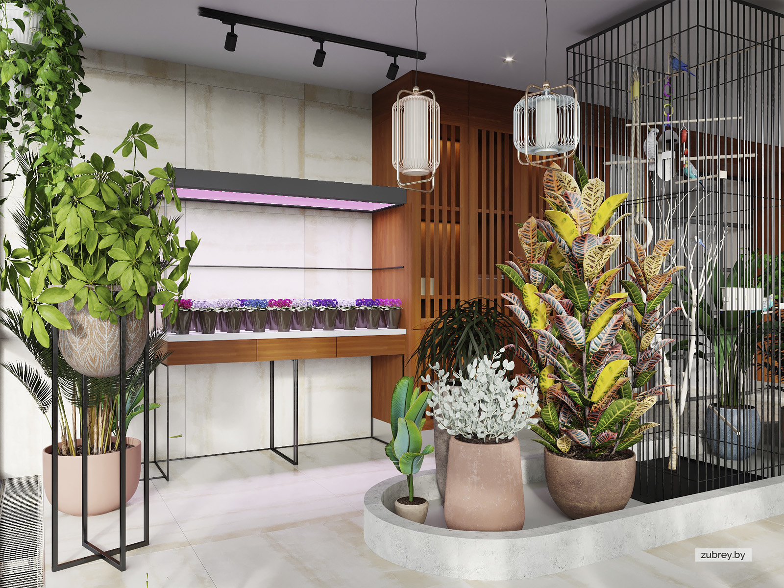 Зимний сад, 2 этаж